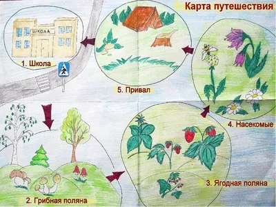 Проект по окружающему миру «Лесные опасности»