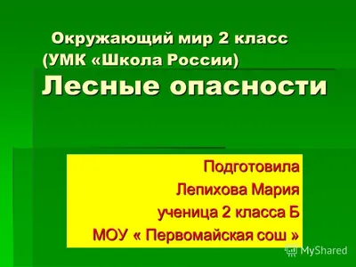 Лесные опасности - online presentation