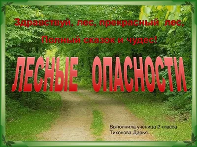 Лесные опасности - презентация, доклад, проект скачать