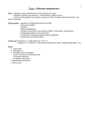 Объявлен желтый уровень опасности. В период с 29 по  года  местами в южной половине Самарской области ожидается высокая пожарная опасность  лесов 4 класс». - Оперативная информация - Главное управление МЧС России по  Самарской области