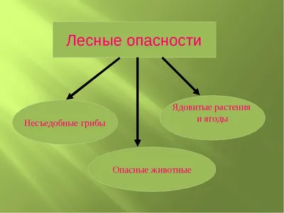 Урок окружающего мира "Лесные опасности" с ЦОР. 2-й класс