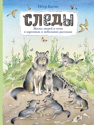 Книга "Животные и птицы. Дикие обитатели русского леса" Куценко М.Е -  купить в Германии | 