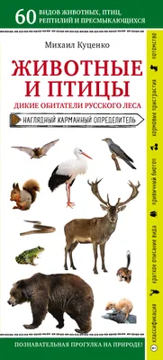 Охота на лесных птиц и зверей. Часть четвертая - 