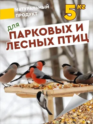 Корм для лесных, уличных и домашних птиц, 500 гр - купить с доставкой по  выгодным ценам в интернет-магазине OZON (684837904)
