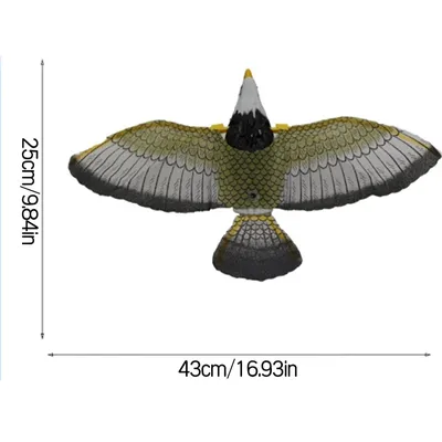 Самые большие летающие птицы нашей планеты | Пикабу
