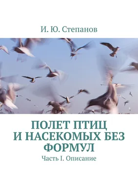 : На какой максимальной высоте способны летать птицы