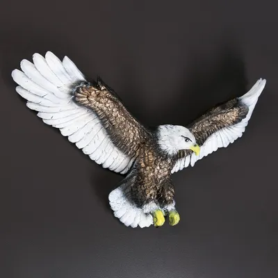 Летающий орел - онлайн-пазл