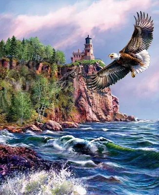 Купить Картины по номерам 40х50 «Парящий орел» по привлекательной цене во  Владивостоке