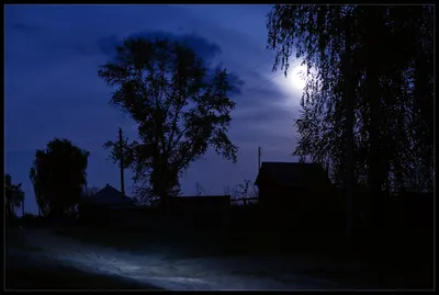 Летняя ночь на озере Чапай-лампи — Фото №154746