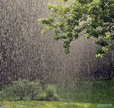 Летний дождь - 78 фото