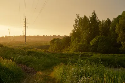 Летний дождик за окном и цветы - Импрессионизм