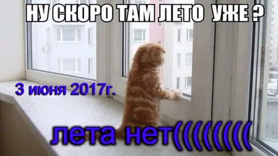 Когда настали те самые тёплые деньки, о которых ты мечтал, но тебе придется  работать до зимы без от / отпуск :: лето :: работа :: картинка с текстом /  смешные картинки и