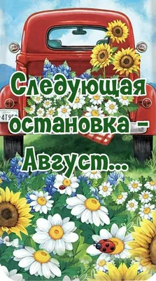 Скачать обои еда, овощи, июль, лето, позитив, урожай, дача, огурцы,  помидоры, горох, перцы, природа, томаты из раздела Еда, в разрешении  2232x1484