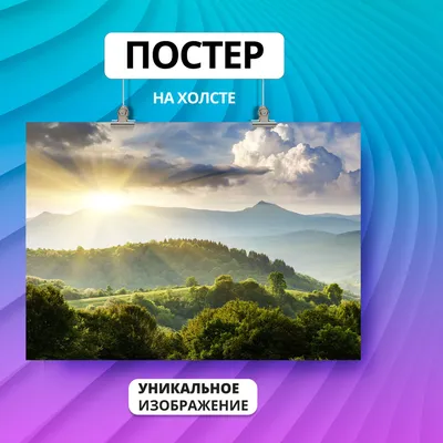 Бесплатное изображение: с подсветкой, Одуванчик, тень, Лето, Закат,  солнечных пятен, Природа, цветок, солнце, Рассвет