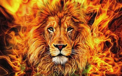 Король Лев (The Lion King) :: красивые картинки :: animal art ::  Мультфильмы / картинки, гифки, прикольные комиксы, интересные статьи по  теме.
