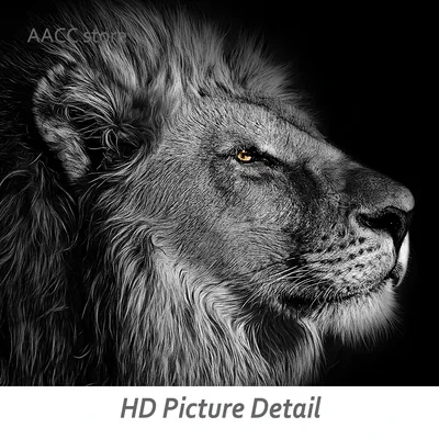 Картина по номерам на холсте с подрамником 50х40 см "Чёрно-белый лев"  купить по цене 439 ₽ в интернет-магазине KazanExpress