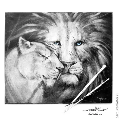 Лев и львица черно белые #12