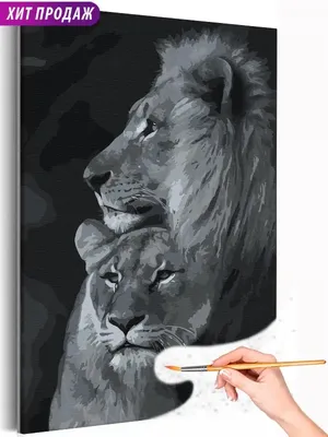 Открытки лев и львица черно белые любовь (67 фото) » Красивые картинки и  открытки с поздравлениями, пожеланиями и статусами - 