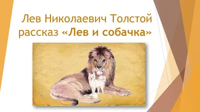 Иллюстрации к рассказу лев и собачка л н толстого (50 фото) » Рисунки для  срисовки и не только