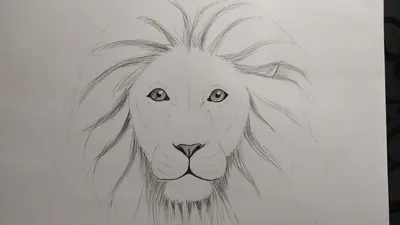 Герб, лев с надписью ОГО, рисунок …» — создано в Шедевруме