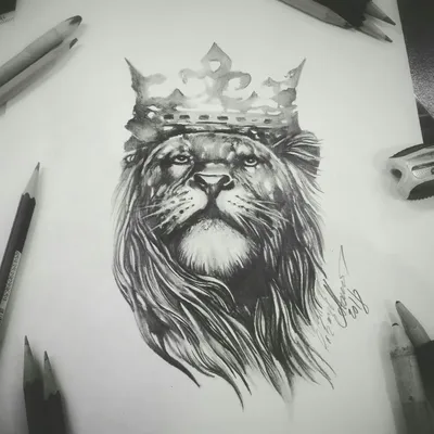 Лев. Рисунок карандашом Стоковая иллюстрация ©VolodymyrBur #161150312