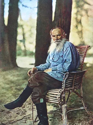 книжная полка «СН». Он писал историю народа. К 195-летию со дня рождения Л.Н.  Толстого