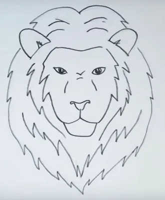 How to Draw a Lion / Как нарисовать Льва - YouTube