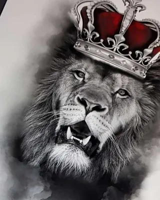 клипарт лев короне: 6 тыс изображений найдено в Яндекс.Картинках | Fotos de  leão, Fotografia de leão, Tribo de judá