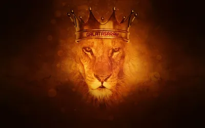 Лев с короной на черном фоне - 79 фото