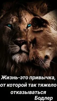 Статусы со смыслом added a new photo. - Статусы со смыслом