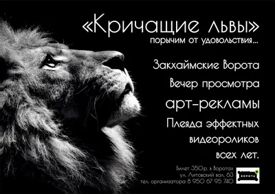  - Лев… 🦁 Когда слышишь про льва, то сразу  представляешь себе большого, храброго хищника, царя зверей. И не  удивительно, что в английском языке идиомы, в которых фигурирует лев, в  основном про