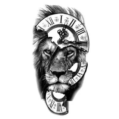 Нечестивый бежит, когда никто не гонится за ним, а праведник смел, как лев»  Символизм и духовное значение льва – в снах, мифах, Библии, мировых  культурах – льву никто не нужен