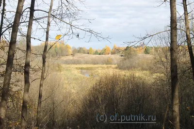 Конспект НОД Рассматривание картины И. И. Левитана «Золотая осень» с детьми  старшей группы (5 фото). Воспитателям детских садов, школьным учителям и  педагогам - Маам.ру