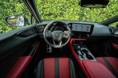 Driven: Elevate Your Adventures With the 2023 Lexus NX 350