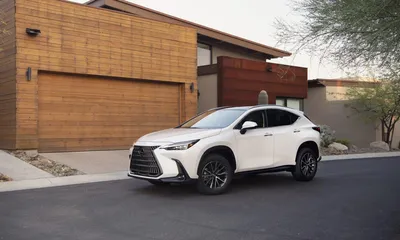 2024 Lexus NX 250 review | CarExpert