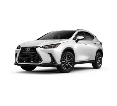 2022 Lexus NX First Drive Review: Poise, Power, Parsimony