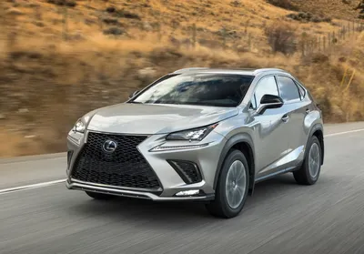 2024 Lexus NX Hybrid