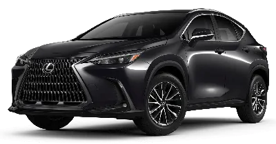 2022 Lexus NX - Luxury SUV - Priority Lexus Newport News