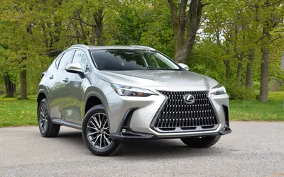 The 2020 Lexus NX Is the Perfect Family Vehicle - Lexus of Huntsville Blog