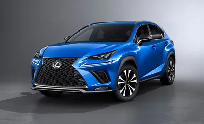 2024 Lexus NX: Choosing the Right Trim - Autotrader