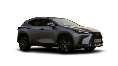 2024 Lexus NX for Sale Near Pasadena, CA | Buy a 2024 NX