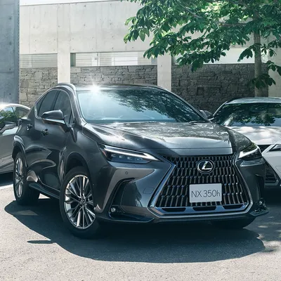 Lexus NX 450h+ PHEV F Sport Premium Plus Pack with panoramic sunroof |  Eurekar