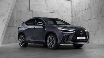 Driven: Elevate Your Adventures With the 2023 Lexus NX 350