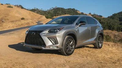 2015-2021 Lexus NX: Things to Know Before You Buy | Otogo