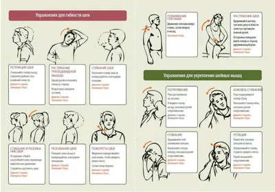 Упражнения при остеохондрозе шейного отдела позвоночника