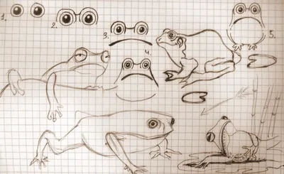 Лягушечки нарисованные няшные - фото и картинки 