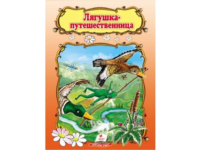 Фото: Лягушка-Путешественница, турагентство, Ташкентская ул., 79, Иваново —  Яндекс Карты