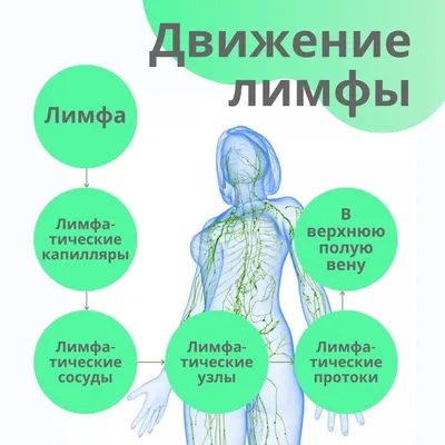 Лимфодренажный массаж Санкт Петербург