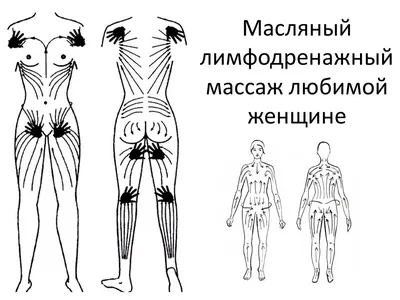 Лимфодренажный массаж: что это, польза, противопоказания, как делается |  РБК Стиль