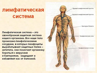 Подарочный сертификат на Лимфодренажный массаж в Мурманске